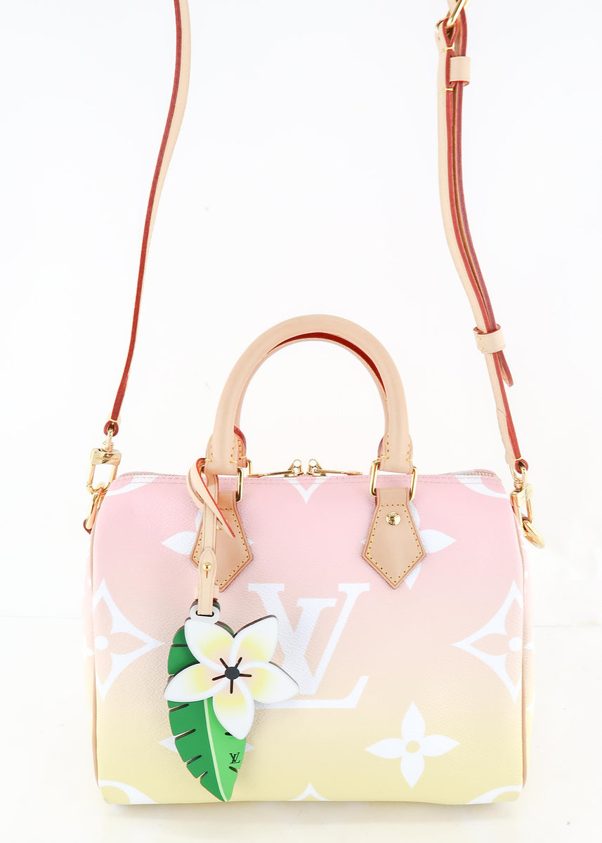 Louis Vuitton Speedy 25 By The Pool & Dust Bag Limited Auction