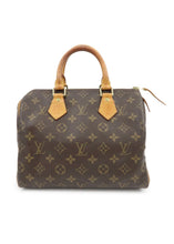 Load image into Gallery viewer, Louis Vuitton Monogram Speedy 25