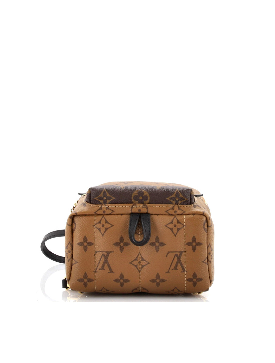 Louis Vuitton, Bags, Louis Vuitton Reverse Monogram Canvas Palm Springs  Mini Backpack