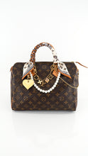 Load image into Gallery viewer, Louis Vuitton Monogram Speedy 30