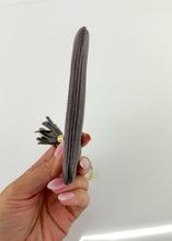 Load image into Gallery viewer, Gucci Calfskin Soho Key Pouch Purple