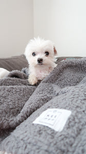 Keepes Karl & Koko Pet Blanket Grey