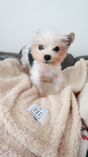 Load image into Gallery viewer, Keepes Karl &amp; Koko Pet Blanket Beige