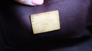 Louis Vuitton Monogram Favorite MM