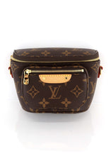 Load image into Gallery viewer, Louis Vuitton Monogram Mini Bumbag