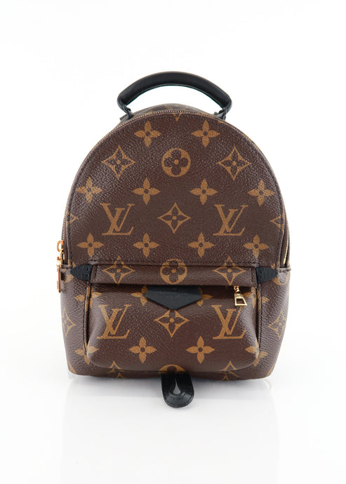 Louis Vuitton Monogram Palm Springs Mini
