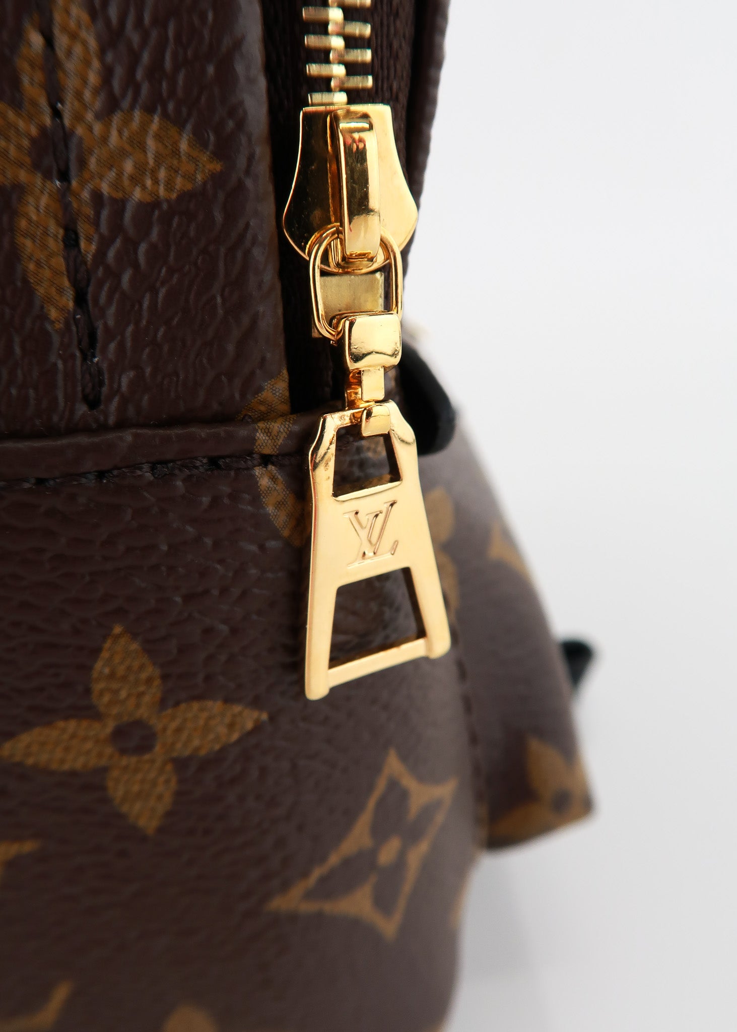 Louis Vuitton Monogram Palm Springs Mini – DAC