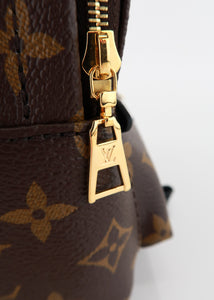 Louis Vuitton Monogram Palm Springs Mini
