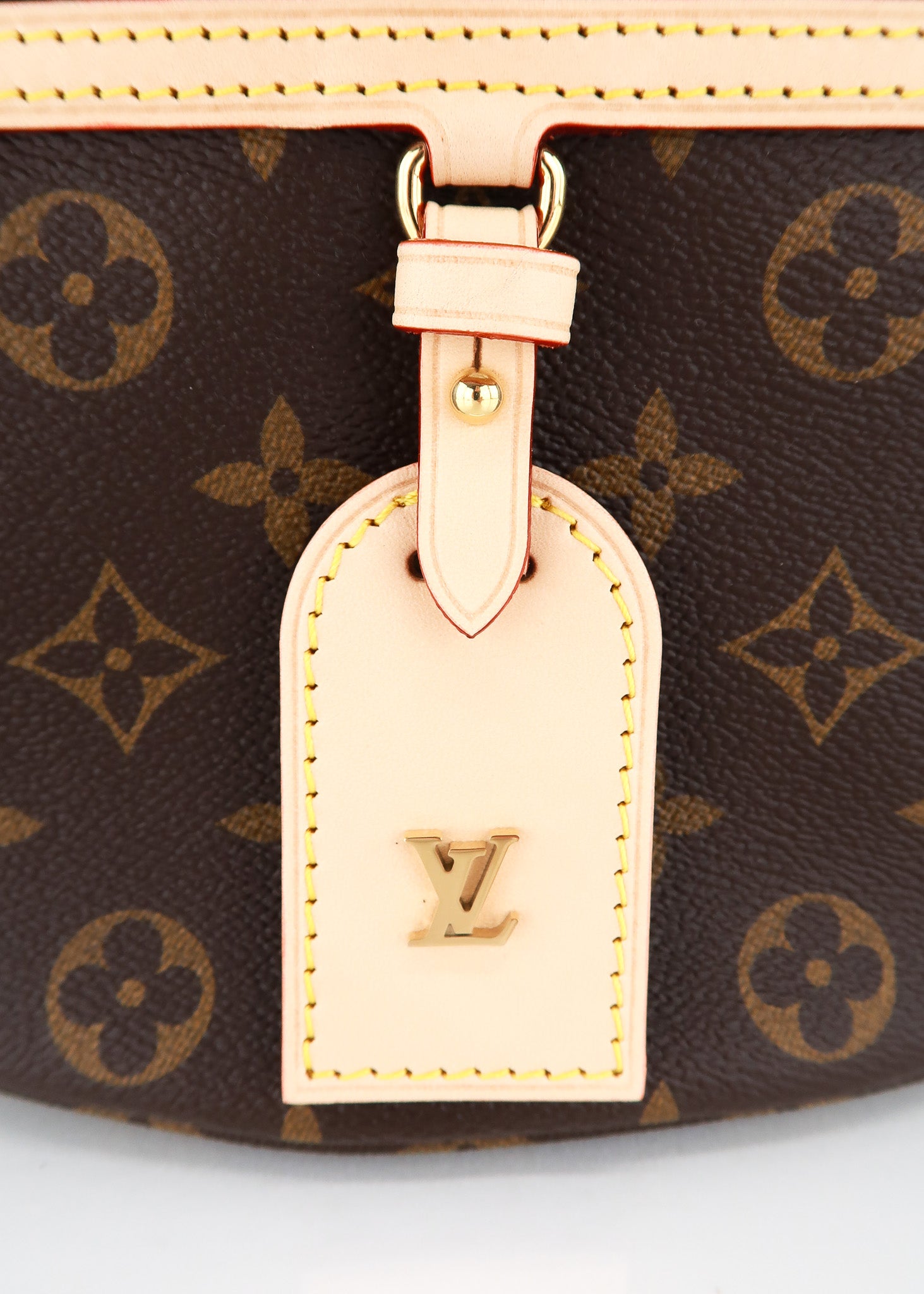 Louis Vuitton Monogram High Rise Bumbag – DAC