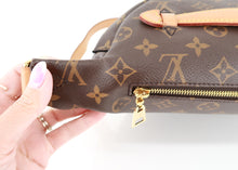 Load image into Gallery viewer, Louis Vuitton Monogram Bumbag
