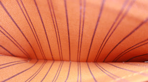 Louis Vuitton Monogram Neverfull Pochette Orange