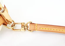 Load image into Gallery viewer, Louis Vuitton Multicolor Wapity