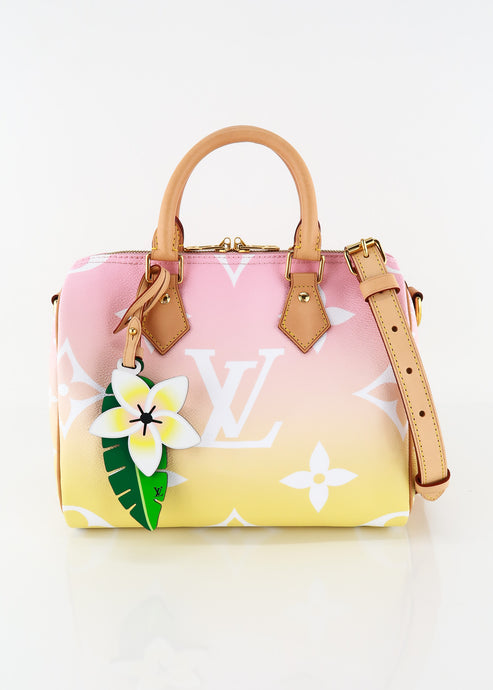 Louis Vuitton By the Pool Speedy 25 Bandouliere Pink