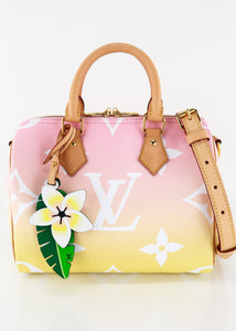 Louis Vuitton By the Pool Speedy 25 Bandouliere Pink