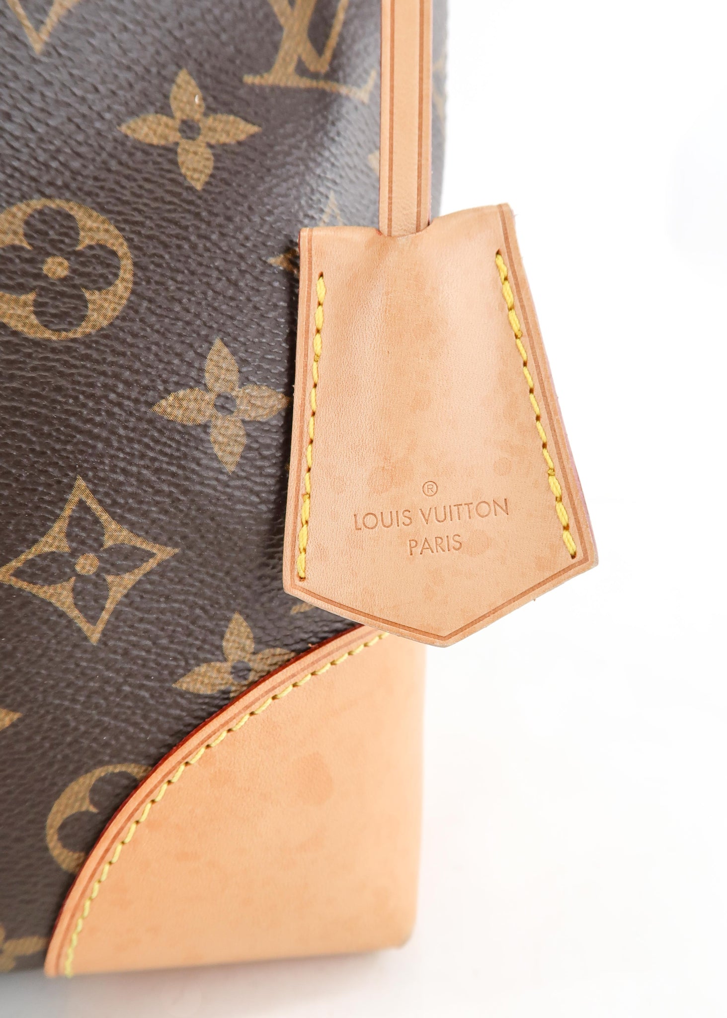 Louis Vuitton Berri PM Monogram