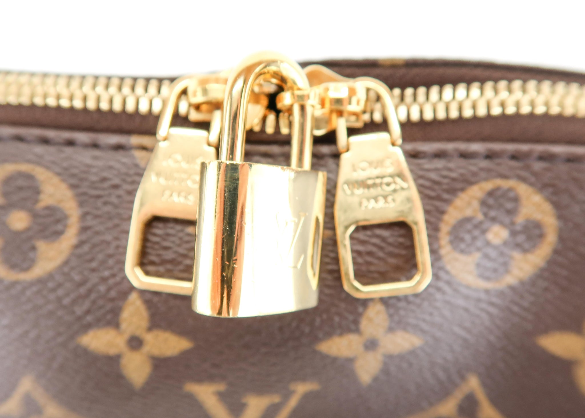 Louis Vuitton Monogram Berry PM One Shoulder Bag