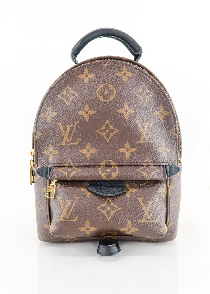 LV Louis Vuitton Palm Springs Backpack Mini SOLD OUT New at