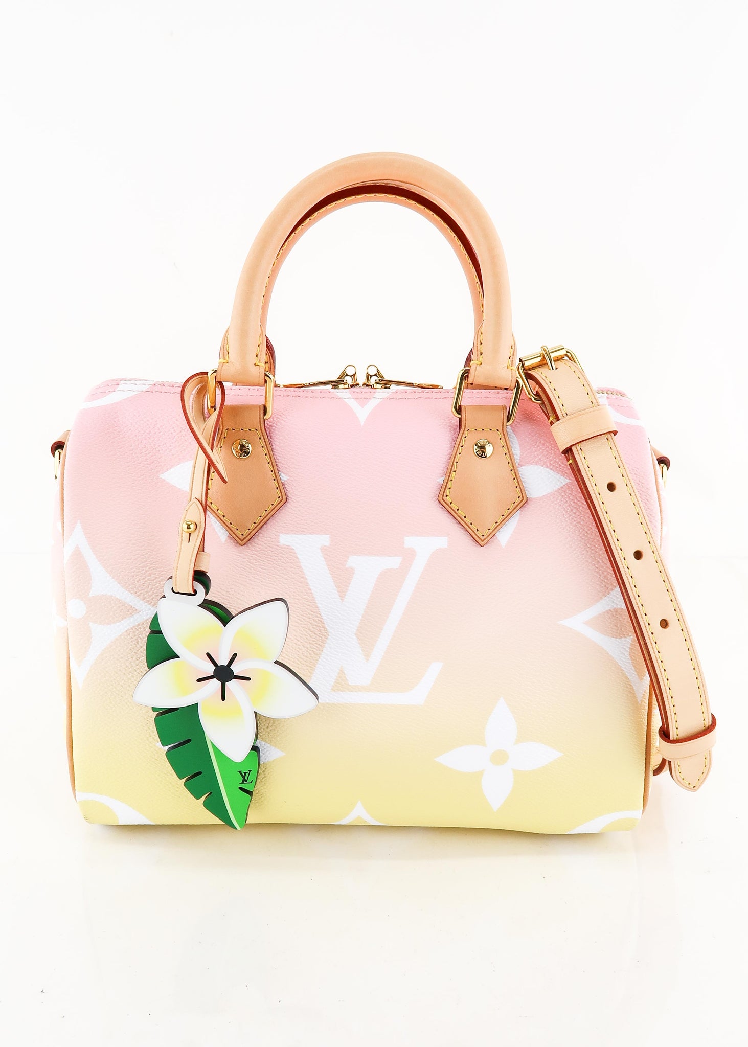 Louis Vuitton Speedy 25 Bandouliere By the Pool Pink – DAC