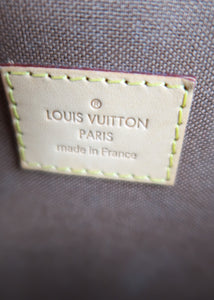 Louis Vuitton Monogram iCare
