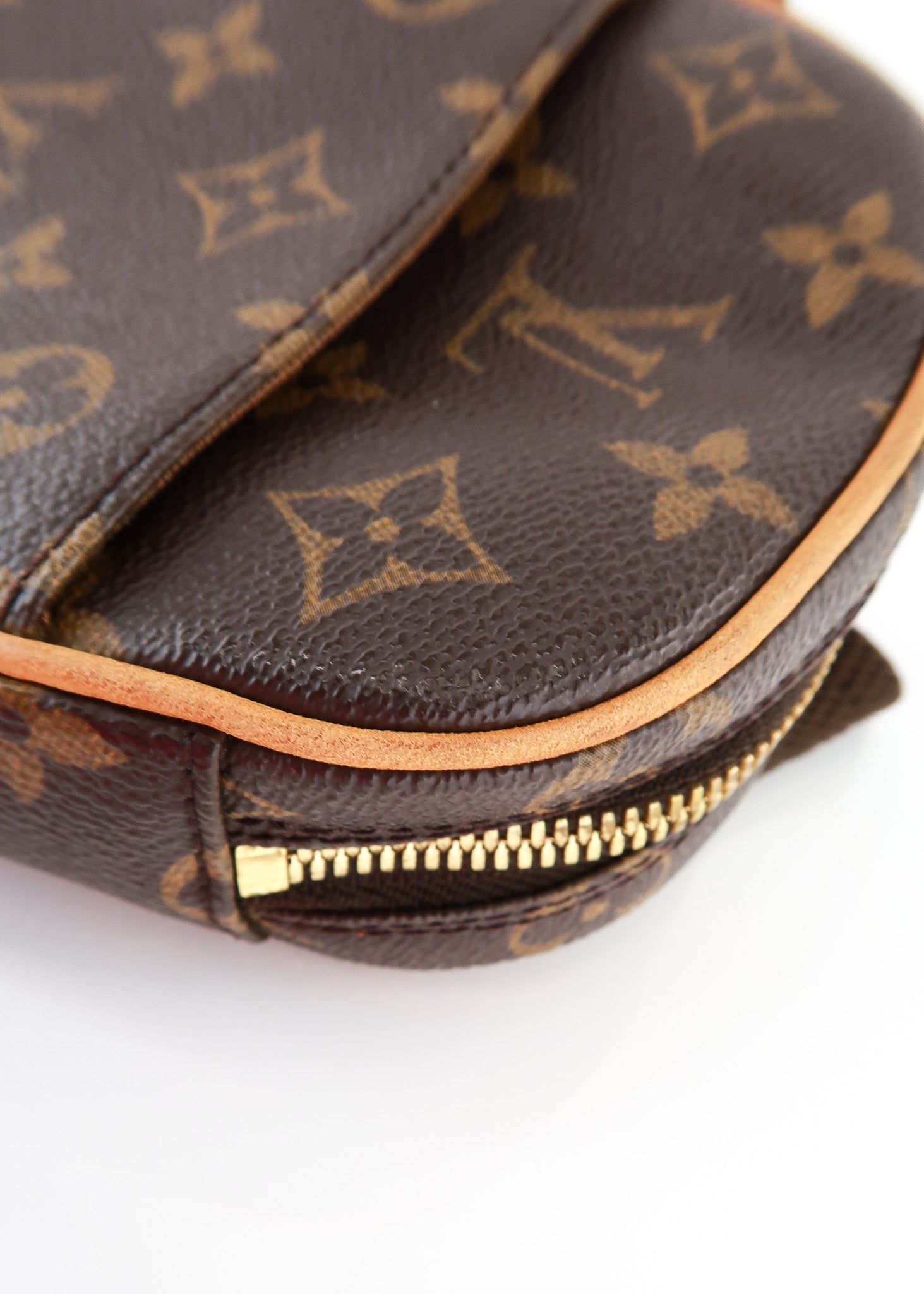 Louis Vuitton Pochette Gange Bum Bag Monogram M51870 CA0094 67285