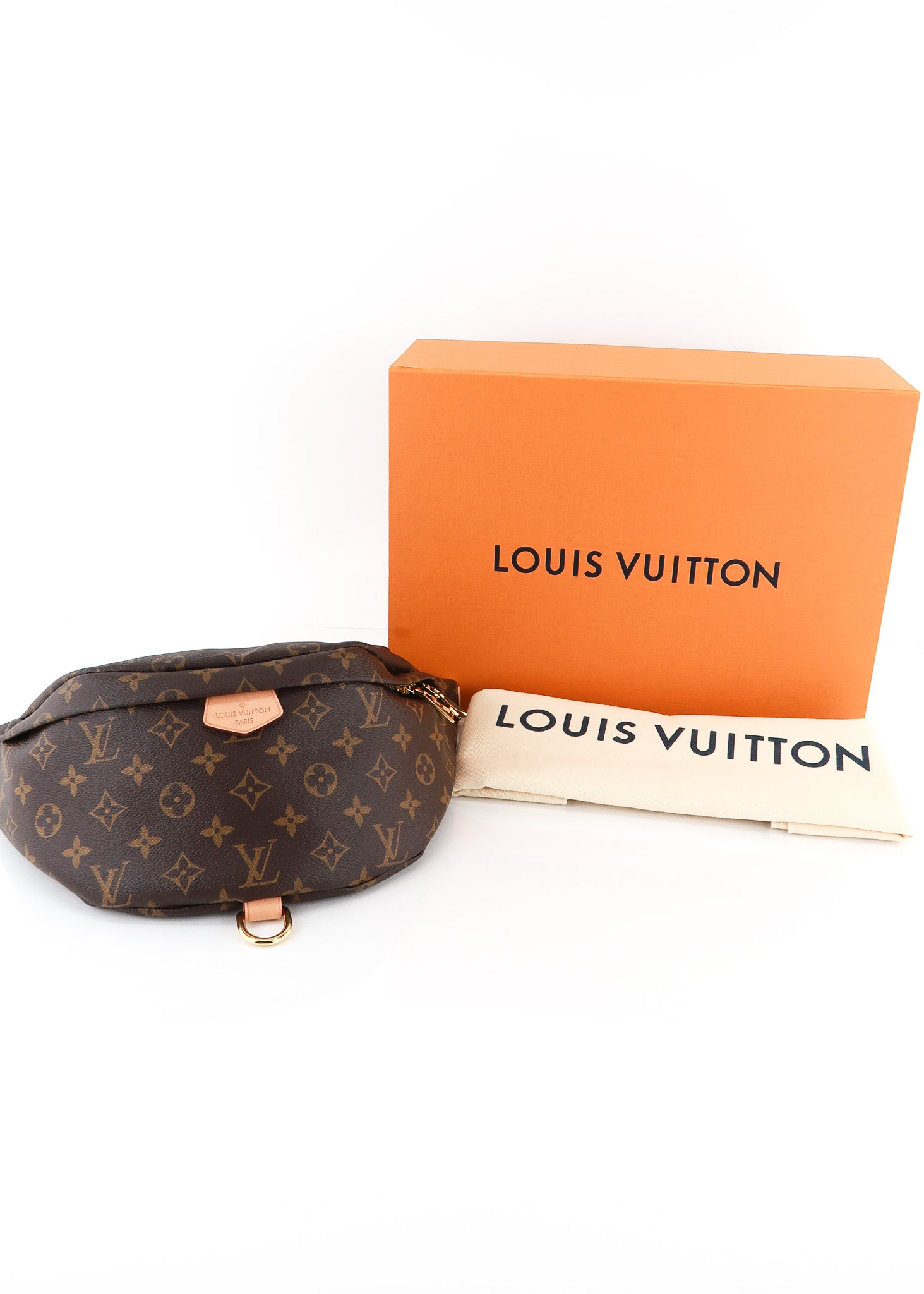 Louis Vuitton Monogram Bumbag – DAC