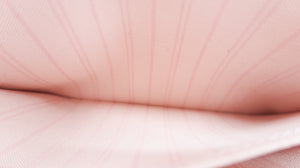 Louis Vuitton Damier Azur Neverfull Pochette Pink