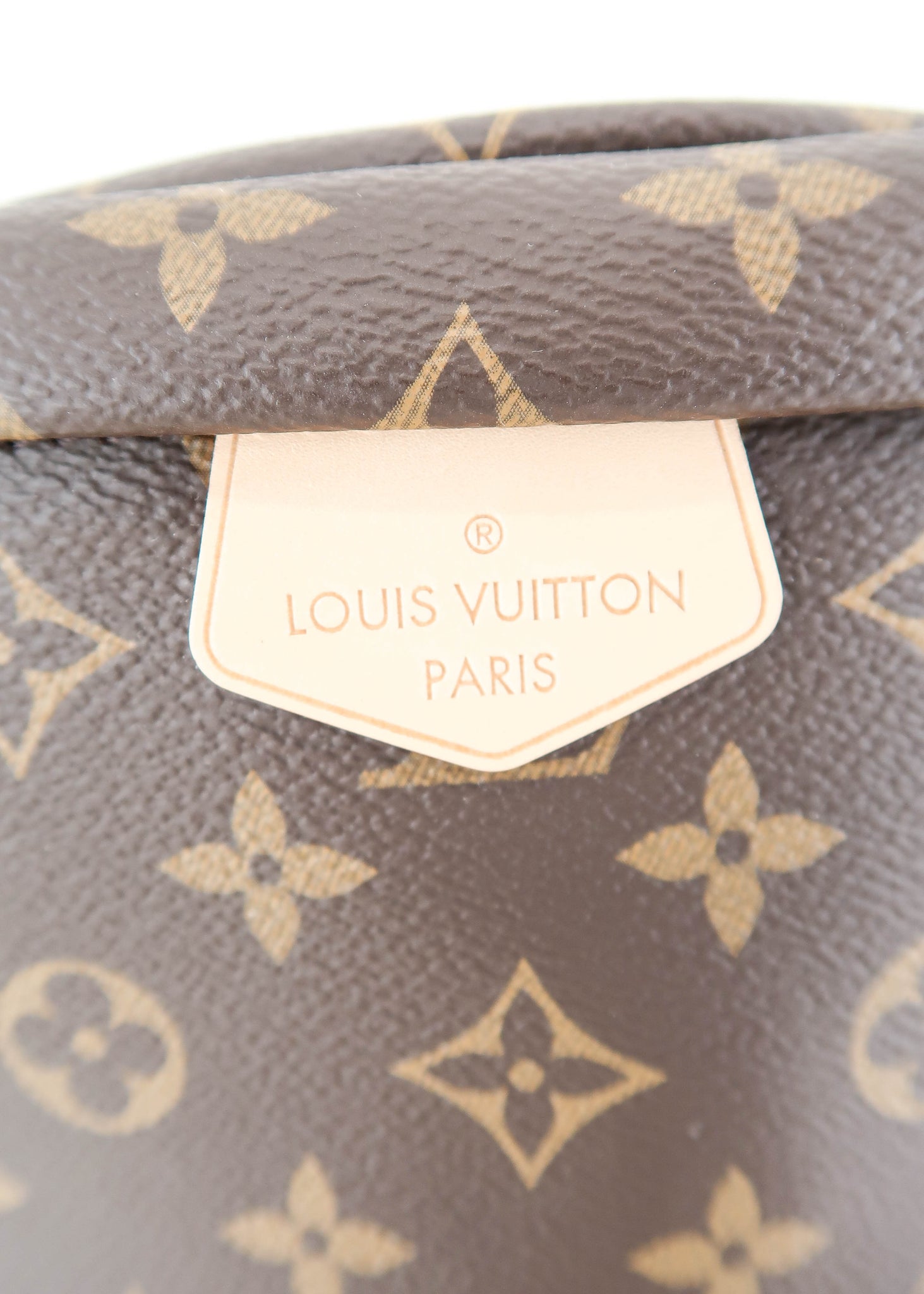 Thoughts on the new bum bag? : r/Louisvuitton