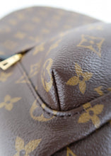 Load image into Gallery viewer, Louis Vuitton Monogram Palm Springs PM