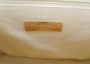 Chanel 19 Goatskin Multicolor Medium Flap